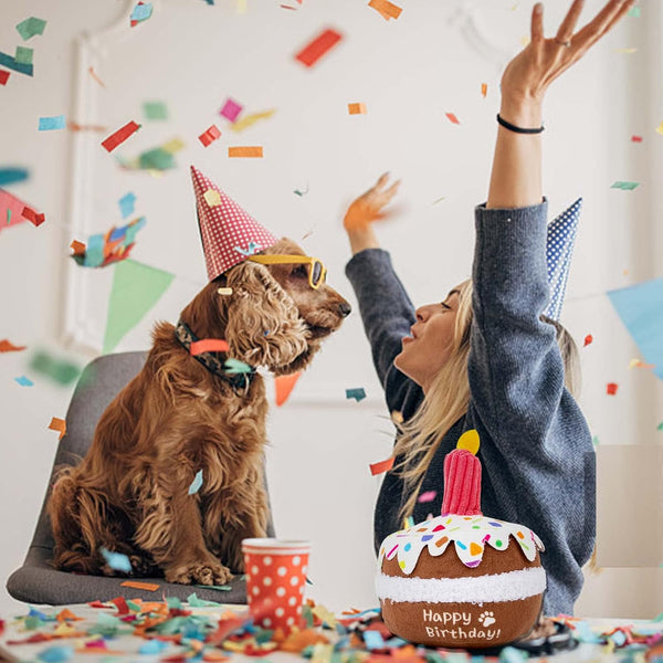 Lilfrd Dog Birthday Toy, Birthday Cake Toys for Puppy Gifts, Squeaky Plush Dog Toys5