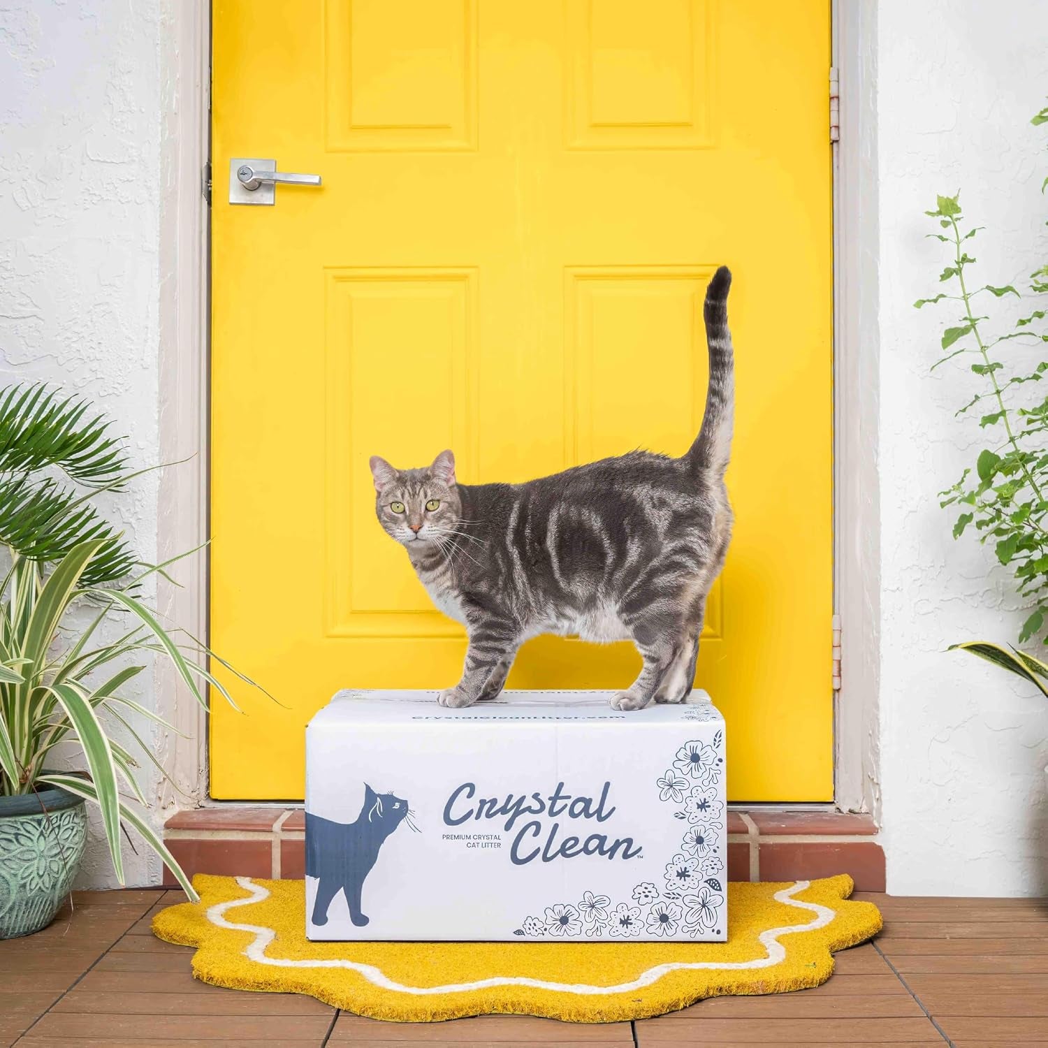 crystal-clean-premium-fresh-scent-crystal-cat-litter-with-odor-control-5x-faster-best-lightweight-non-clumping-kitty-litter-to-absorb-urine-dries-solid-waste-2x4-3-lb-bags