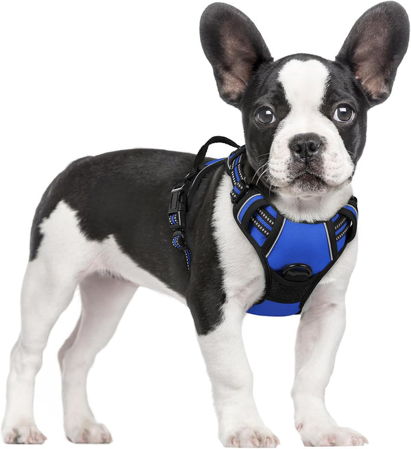 Rabbitgoo Dog Harness, No Pull for Large Dogs with 2 Leash Clips, Pet Vest | No Choke with Handle, Adjustable Soft Padded, Reflective, Easy Control for Walking, Black, Large89