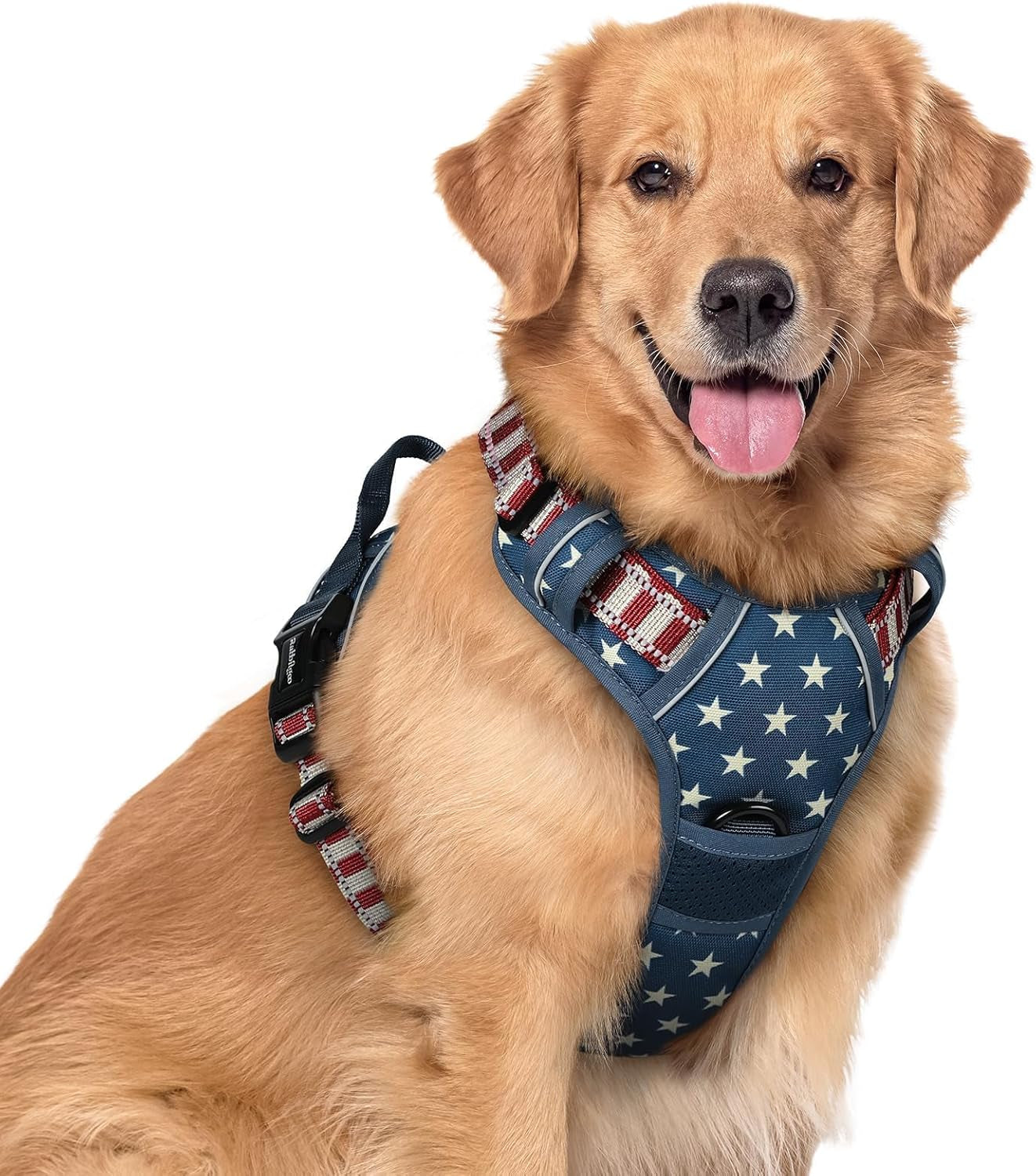 rabbitgoo-dog-harness-no-pull-for-large-dogs-with-2-leash-clips-pet-vest-no-choke-with-handle-adjustable-soft-padded-reflective-easy-control-for-walking-black-large