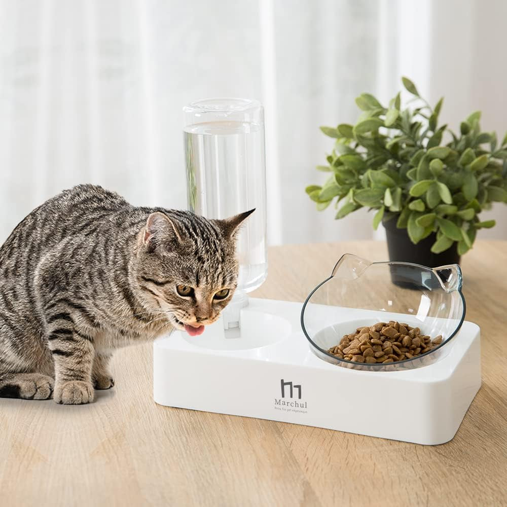 marchul-double-elevated-dog-cat-bowl-pets-water-and-food-bowl-set-15-raised-tilted-dishes-indoor-for-kitten-puppies-small-or-medium-size-dogs-cats