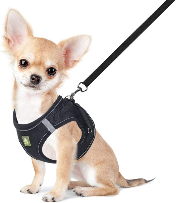 Feimax Dog Harness and Leash Set, No Pull Breathable Soft Mesh Puppy Vest Harness Reflective Adjustable Pet Harnesses for Small Medium Dogs and Cats - Outdoor Easy Control for Walking9