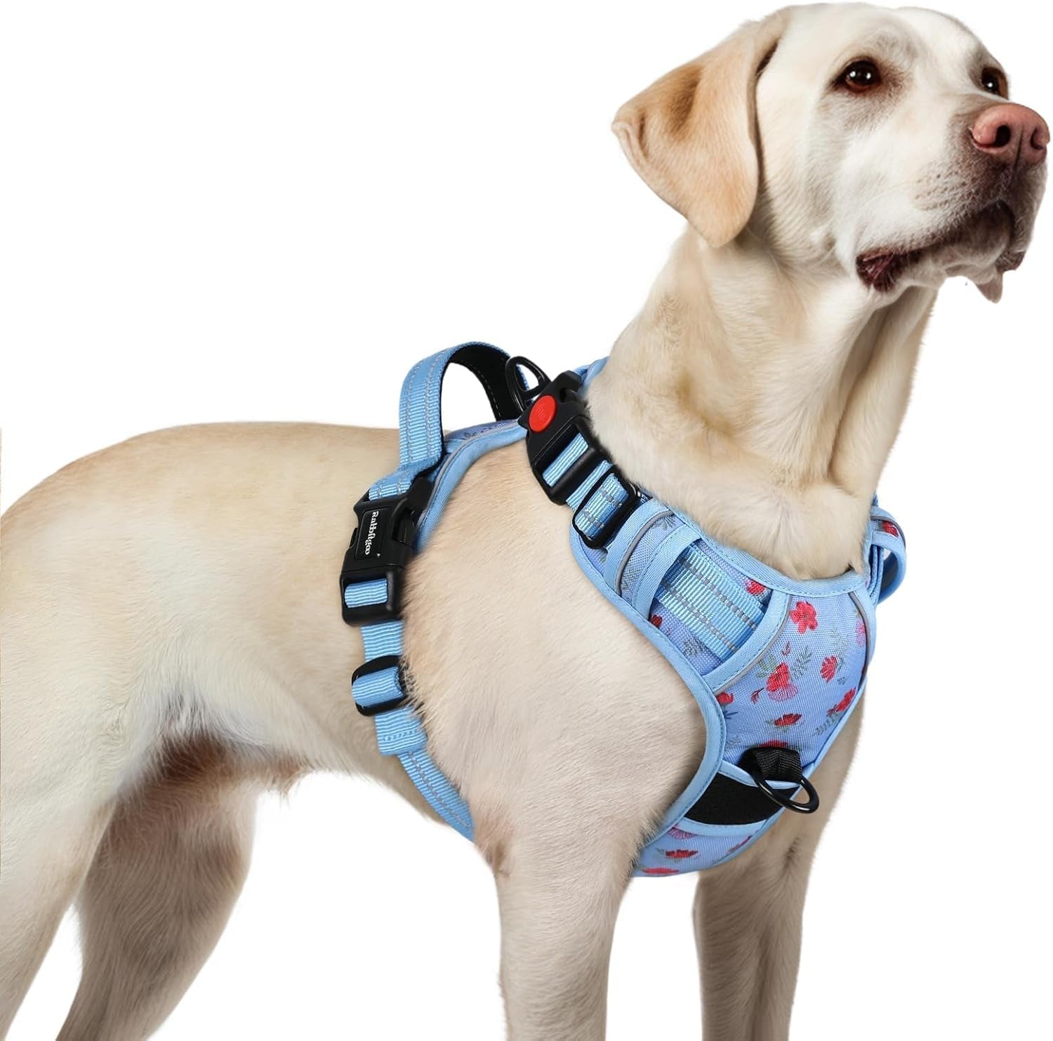 rabbitgoo-dog-harness-medium-sized-updated-easy-on-off-with-3-buckles-no-pull-no-choke-walking-with-2-clips-and-handle-adjustable-soft-reflective-blue-medium