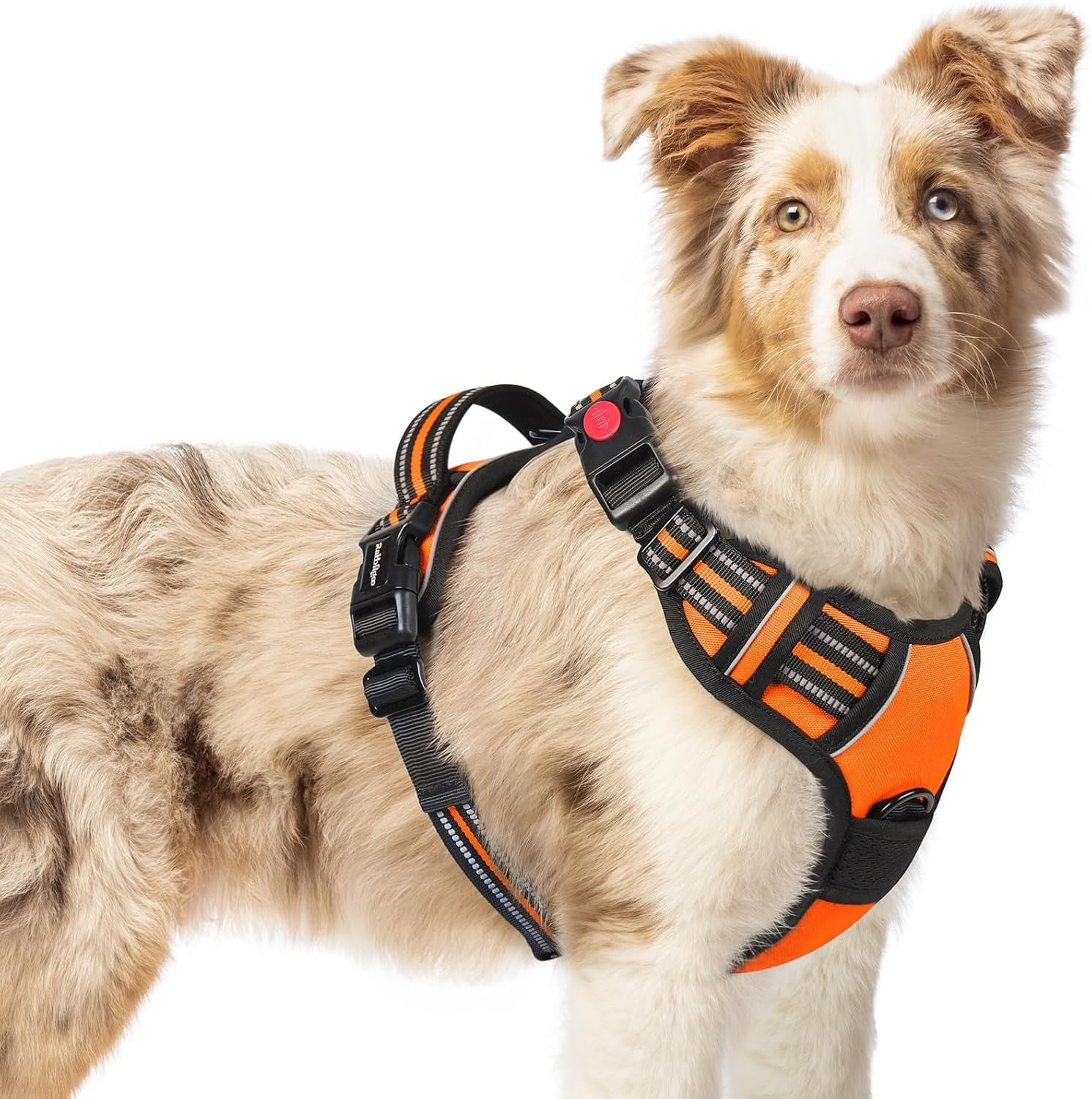 rabbitgoo-dog-harness-medium-sized-updated-easy-on-off-with-3-buckles-no-pull-no-choke-walking-with-2-clips-and-handle-adjustable-soft-reflective-blue-medium