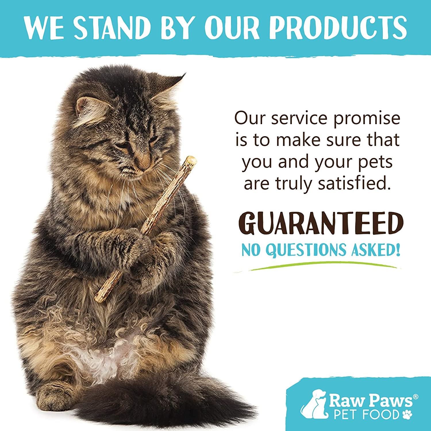 raw-paws-silvervine-sticks-for-cats-30-count-dental-cat-chew-stick-catnip-alternative-matatabi-cat-toy-silver-vine-sticks-indoor-cat-enrichment-chewing
