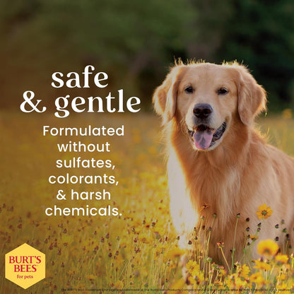 Burts Bees for Pets Waterless Shampoo Spray, with Apple & Honey, 10 Fl Oz | No-Rinse Waterless Formula, Ph Balanced, Ideal for Quick Touch-Ups between Full Baths, No Sulfates Parabens or Phthalates4
