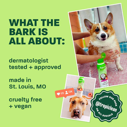 Tropiclean 2-In-1 Dog Shampoo and Conditioner, Moisturizing Dog Detangler, Puppy Safe, Made in the USA, Papaya Scent, Cat & Kitten Safe, 20Oz. | Moisturizing Detangler | Papaya Scent | Puppy, Cat & Kitten Safe | Made in USA5