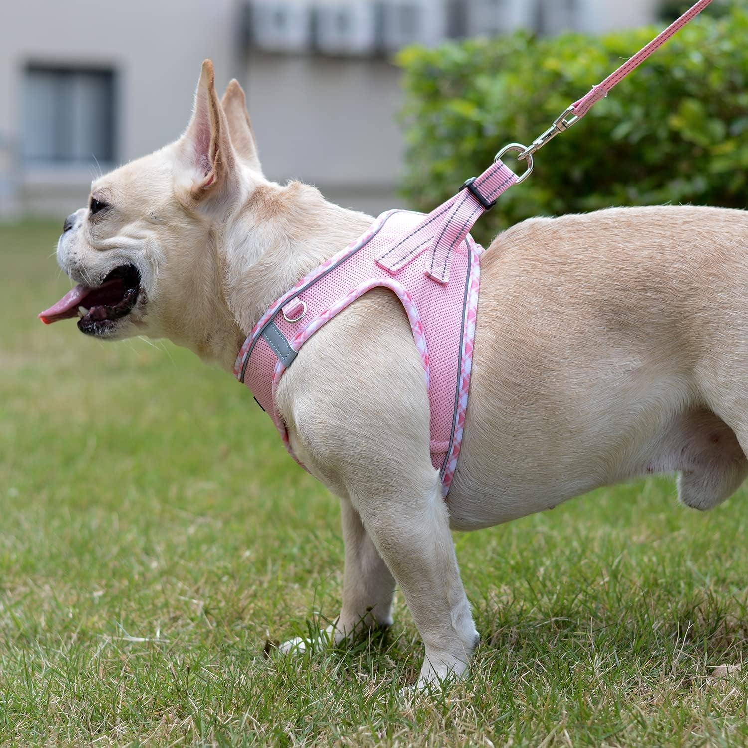 mercano-soft-mesh-dog-harness-and-leash-set-step-in-reflective-breathable-lightweight-vest-harnesses-with-safety-buckle-for-small-dogs-cats-pink-s