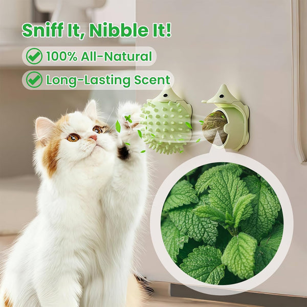 6 Pcs Catnip Ball Toys with Rubbing Shell, Lickable Roller Catnip Toys for Cats Chew, Edible and Refillable Kitten Toys, Teeth Cleaning Dental Indoor Cat Treats Toys, 3 Shells 6 Balls4