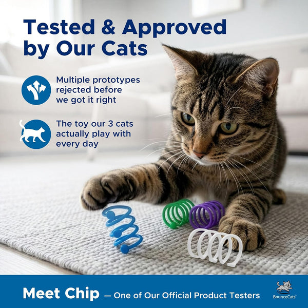 Cat Spring Toys Cats Can'T Resist – Family Made in the USA, Set of 42