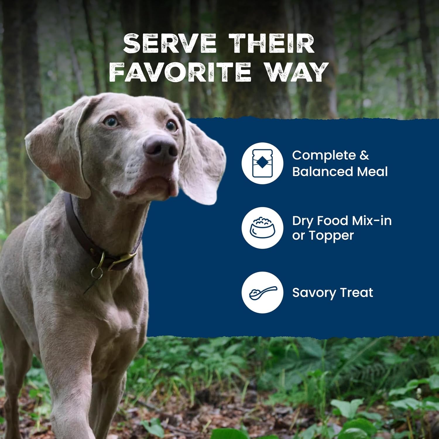 blue-buffalo-wilderness-adult-wet-dog-food-variety-pack-beef-chicken-grill-32g-protein-and-chicken-salmon-grill-35g-protein-grain-free-high-protein-natural-12-5-oz-each-6-cans
