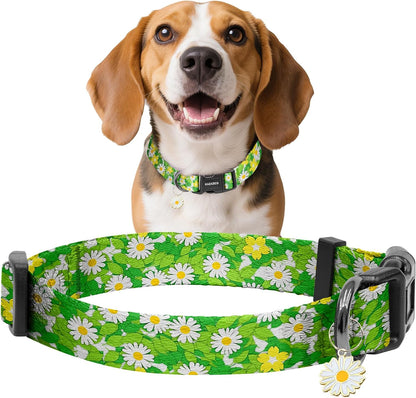 Kazazoo Dog Collar Cute and Soft Nylon Puppy Collar Girl Dogs, Adjustable Purple Dog Collars for Medium Dogs, Purple Flowers-M41