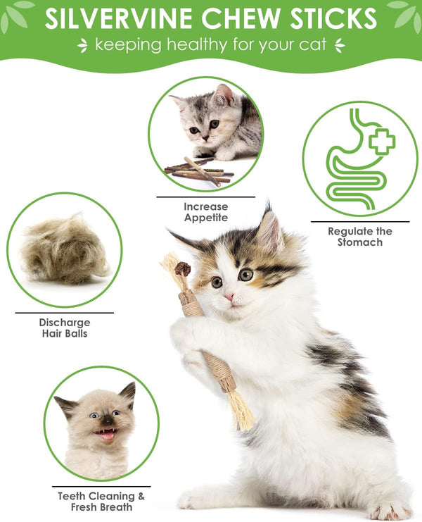 TINDTOP Silvervine Chew Sticks for Cats, 10 Pack Natural Catnip Chew Toys | for Kittens Teeth Cleaning, Matatabi Dental Care, Increase Appetite, Calm Cat Anxiety and Stress, Aggressive Chewers Toy2