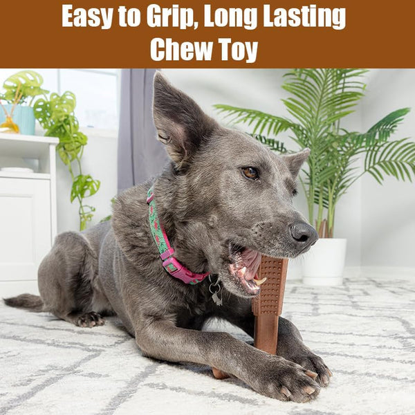 SPOT Bam-Bones plus T Bone – Bamboo Fiber & Nylon Dog Chew Toy for Moderate to Aggressive Chewers, Durable Long Lasting & Non-Splintering, Beef Flavor Toy for Adult Dogs & Puppies under 60 Lbs, 6 In7