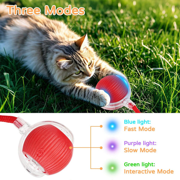 Goosheep 2PK Automatic Rolling Interactive Cat Toys Ball for Indoor Cat Dog | Red&Grey, 3 Modes, LED Light, 360° Smart Automatic Rolling, Suitable for Multi-Cat Families, for Indoor Cats and Small Dogs3
