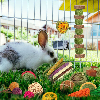 YIXUND Rabbit & Guinea Pig Toys - Natural Timothy Hay & Apple Wood Sticks for Teeth Care - Handmade for Hamster, Bunny, Chinchilla (27 Pcs)2