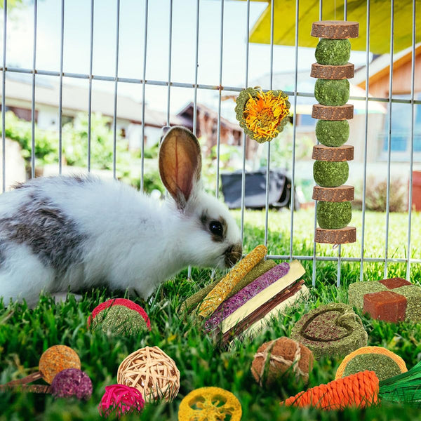 YIXUND Rabbit & Guinea Pig Toys - Natural Timothy Hay & Apple Wood Sticks for Teeth Care - Handmade for Hamster, Bunny, Chinchilla (27 Pcs)2