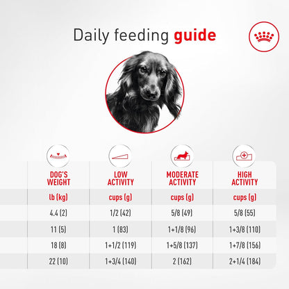 ROYAL CANIN Breed Health Nutrition Dachshund Adult Dry Dog Food, 10 Lb Bag. | Specialized Kibble Shape, Supports Joint and Bone Health, Promotes Healthy Weight, Complete and Balanced Nutrition10