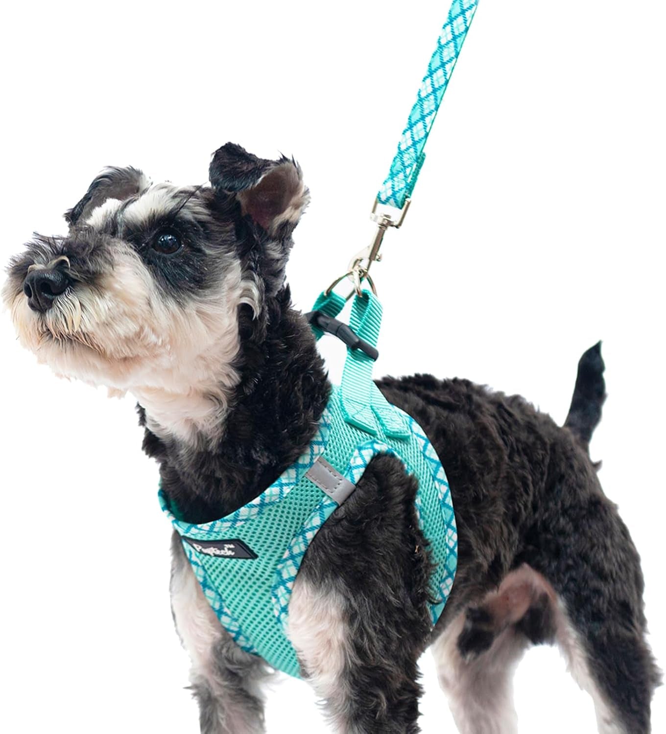 pupteck-dog-harness-and-leash-set-for-small-medium-dogs-no-pull-step-in-soft-mesh-puppy-cat-vest-harnesses-reflective-at-night-green-s
