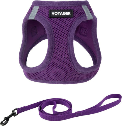 Voyager Step-In Pet Harness - All Weather Mesh, Adjustable Step in Harness for Cats and Dogs by Best Pet Supplies - 307 Set Moss Green, M20