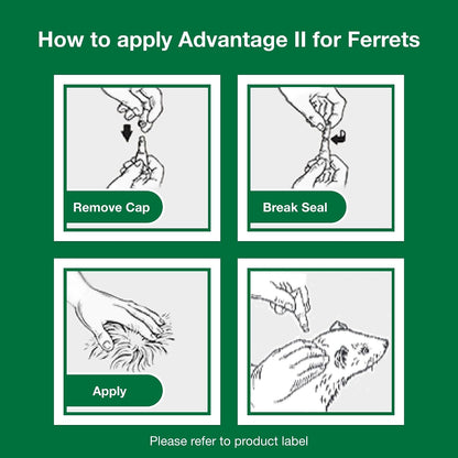 Advantage II Ferret Vet-Recommended Flea Treatment & Prevention | Ferret 1+ Lbs. | 2-Month Supply9