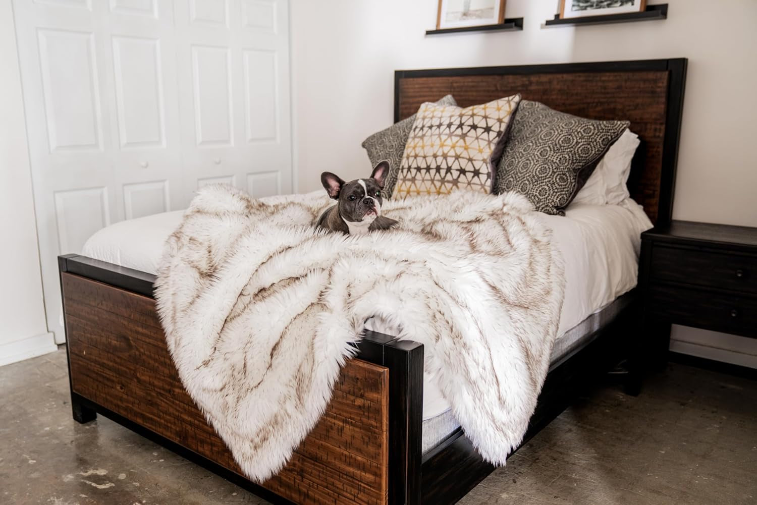 paw-brands-pupprotector-waterproof-throw-blanket-white-brown-60x50-waterproof-machine-washable-protects-couches-beds-car-seats