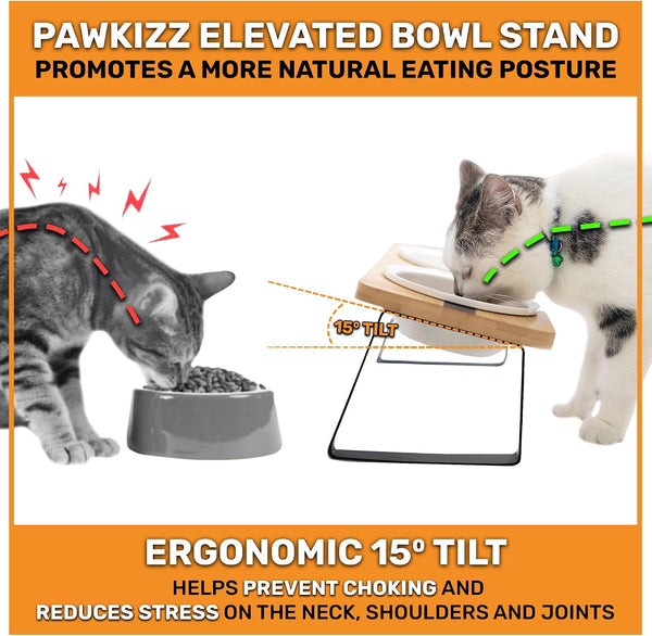 Elevated Cat Bowl Stand for Food and Water – Anti-Vomit Raised Feeding Station with Tilted Stand – Removable round Ceramic Bowls, anti Slip Bamboo Base, Dishes for Cats, Kitten, Small Dogs & Puppies2