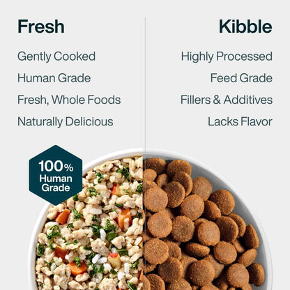 Justfoodfordogs Pantry Fresh Wet Dog Food, Complete Meal or Topper, Chicken & White Rice Human Grade Recipe - 12.5 Oz (Pack of 6)8