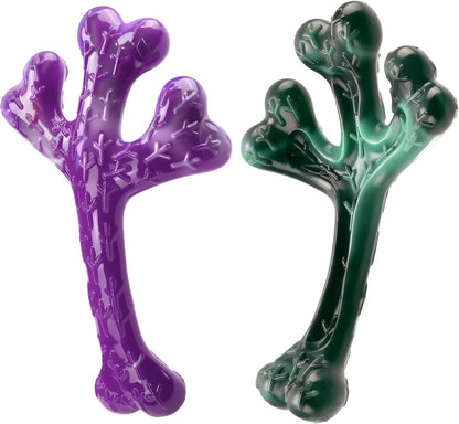 Frienhund 2-Pack Indestructible Dog Chew Toys for Aggressive Chewers | Textured Cactus with Grooves for Peanut Butter & Yogurt, Beef Nylon Bones for Large Dogs 20-90 Lbs, Easy Chew & Long Lasting10