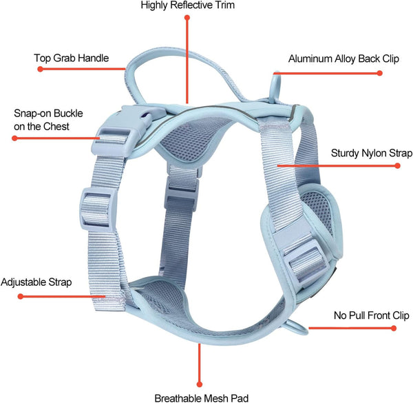Petmolico No Pull Cute Dog Harness Reflective, Light Blue, Small | Set Includes Leash & Waste Bag Holder, 2 Clips & Handle, Soft Comfy Fit, Adjustable, Ideal for Daily Walks & Travel2