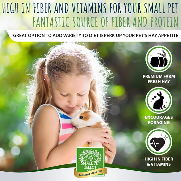 Small Pet Select Gourmet Hay Treat, Flowers & Herbs, Rabbits, 2 Lb | Exclusive Treat Hay Blend with Flowers & Herbs, for Guinea Pigs, Chinchillas, Bunnies & Other Small Pets2