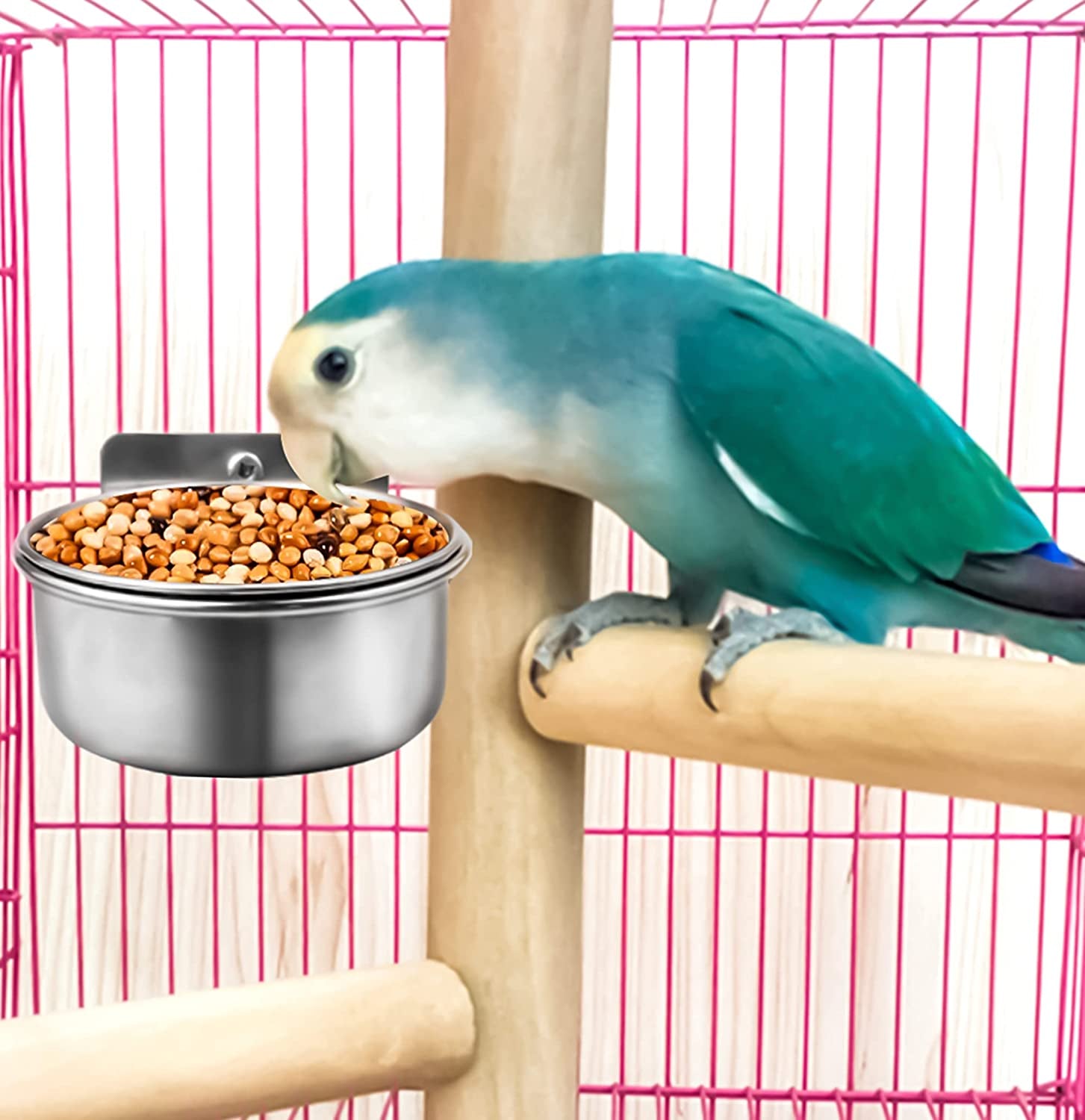 3-pack-bird-feeding-bowls-cups-parrot-food-water-dishes-stainless-steel-bird-bowl-cup-dish-with-clamp-birdcage-feeder-pet-cage-bowls-for-cockatiel-budgie-conure-macaw-parakeet-small-animal