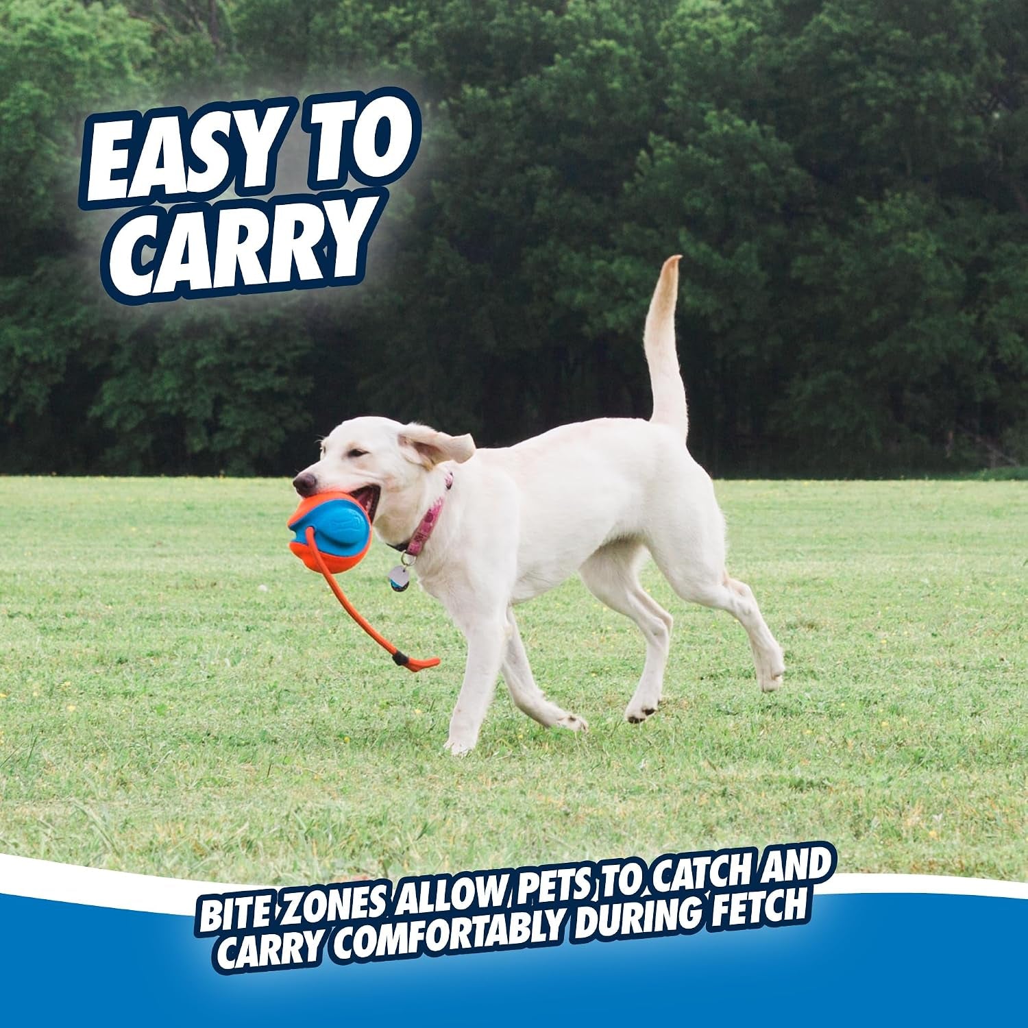 chuckit-rope-fetch-dog-toy-ball-on-rope-fetch-and-tug-of-war-toy-for-dogs-durable-eva-rubber-construction-5-5-inch-diameter-18-inch-rοpe-orange-and-blue