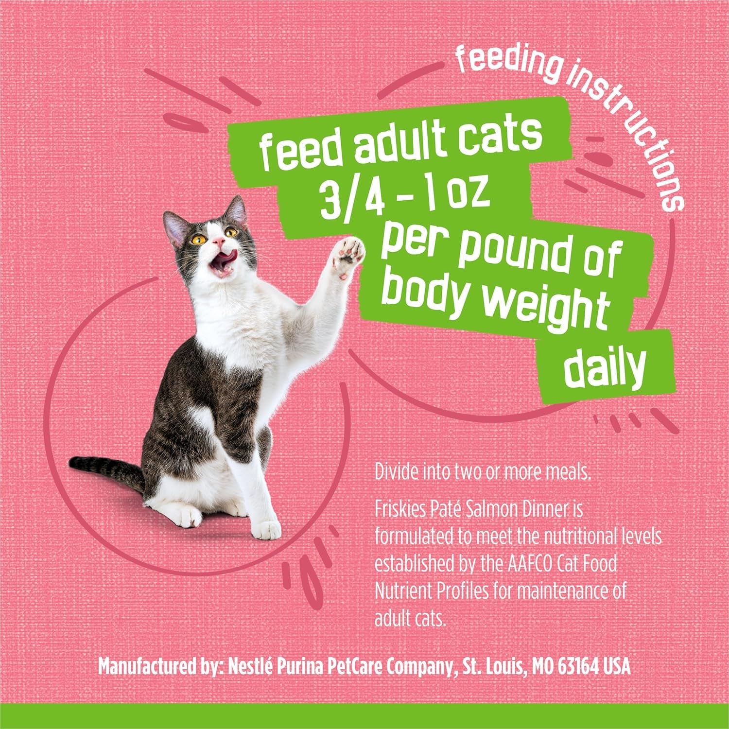 purina-friskies-wet-cat-food-pate-pate-salmon-dinner-pack-of-24-5-5-oz-cans