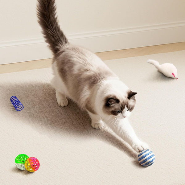 Cat Toys for Indoor Cats, 34 Pack Interactive Cat Toy Set for Kitten | Kitten Toys Variety Pack with Chew Toy, Spring, Mouse & Ball, Ideal for Enrichment, Boredom Relief and Self Play, Toy Bulk4