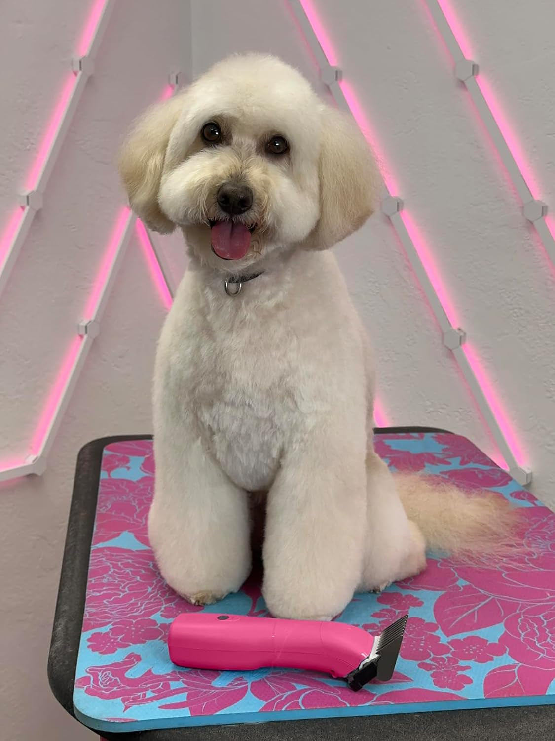 andis-562772-emerge-cord-cordless-clipper-includes-30-ceramicedge-pink-wide-ceramic-blade-runs-cooler-powerful-motor-detachable-blade-system-dog-grooming-clipper