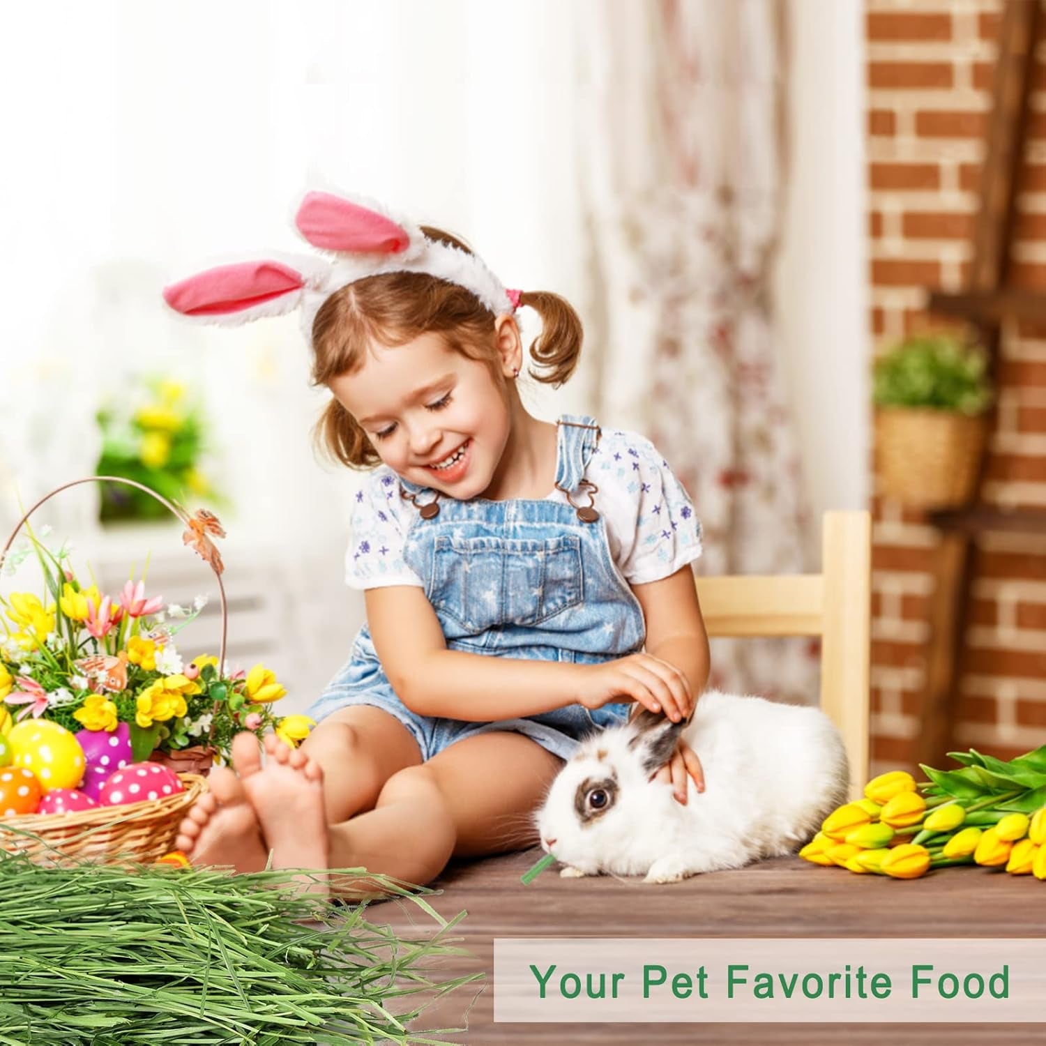timothy-hay-6-6lbs-small-pet-feed-hand-selected-natural-fresh-timothy-hay-for-rabbits-guinea-pigs-chinchillas-6-packs-of-1-1lbs-each