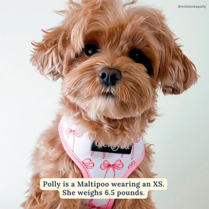 Lucy & Co. Reversible Dog Harness - Water-Repellent Neoprene, Dual-Print Design, Easy Swap Style, Adjustable Comfort Fit - Take a Bow Reversible Harness - Small4