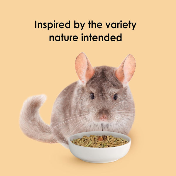 Kaytee Food from the Wild Chinchilla, 3 Pounds7