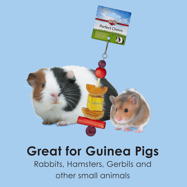 Kaytee Perfect Chew Guinea Pig5