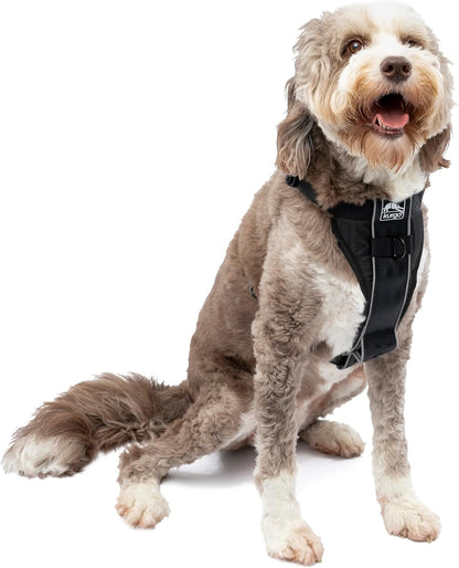 Kurgo Tru-Fit Smart Harness, Black, Large | Dog Walking Harness with Quick Release Buckles, Front & Back Leash Attachments, Reflective Trim, Includes Seatbelt Tether1