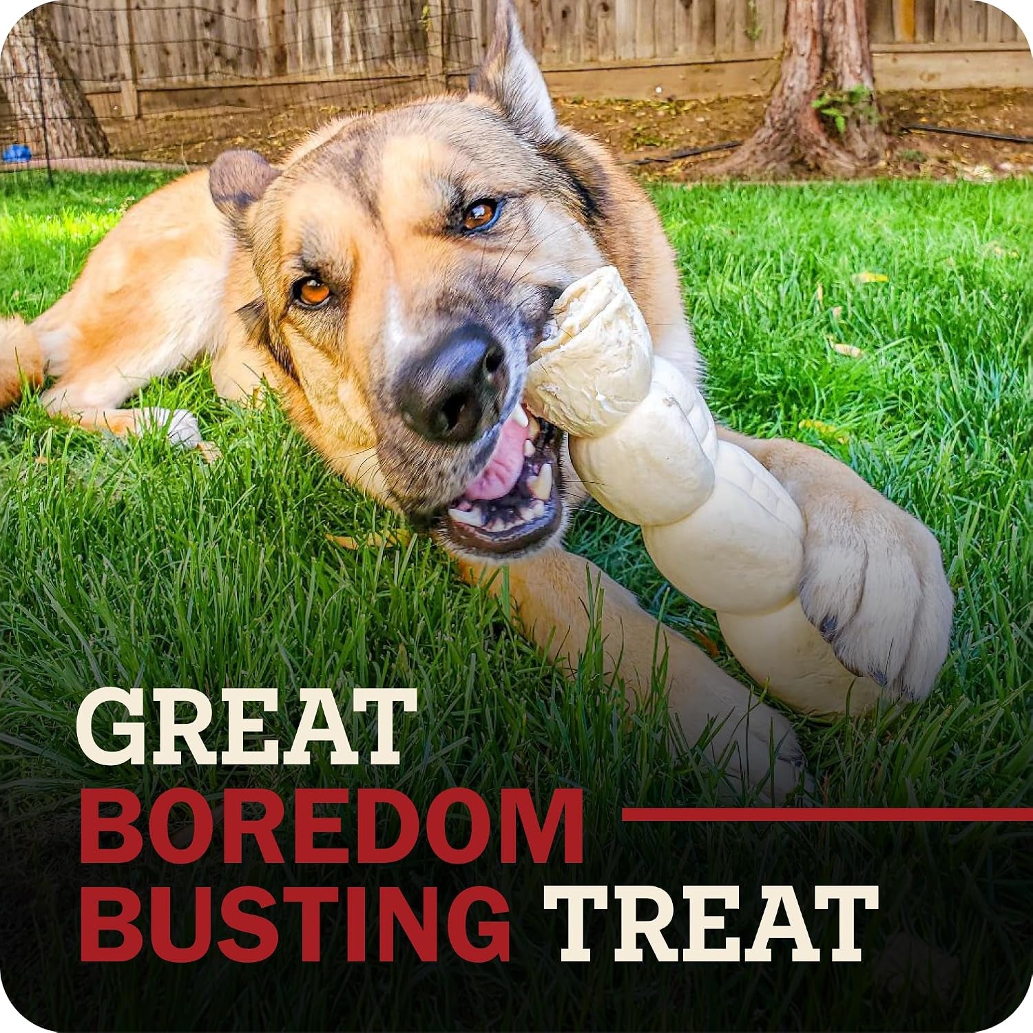 redbarn-pet-products-all-natural-large-beef-cheek-rolls-for-dogs-uncoated-single-ingredient-grain-free-chew-treat-naturally-rich-in-collagen-no-artificial-preservatives-pack-of-4