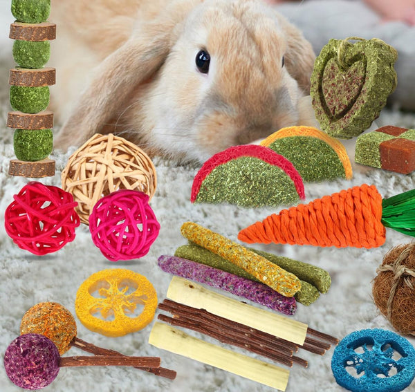 YIXUND Rabbit & Guinea Pig Toys - Natural Timothy Hay & Apple Wood Sticks for Teeth Care - Handmade for Hamster, Bunny, Chinchilla (27 Pcs)5