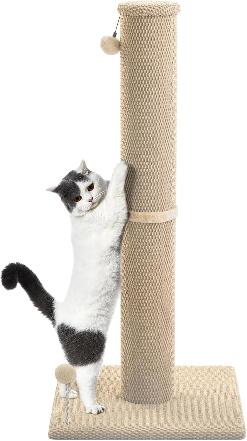 cat-craft-cat-scratching-post-carpet-scratching-post-41-for-indoor-cats-tall-cat-scratch-post-carpet-cat-scratcher-with-replaceable-toys-sturdy-base-large-gray-41in-tall-short-plush-scratch-post-stable-base-interchangeable-play-toys-for-indoor-cats-to-avoid-furniture-scratching