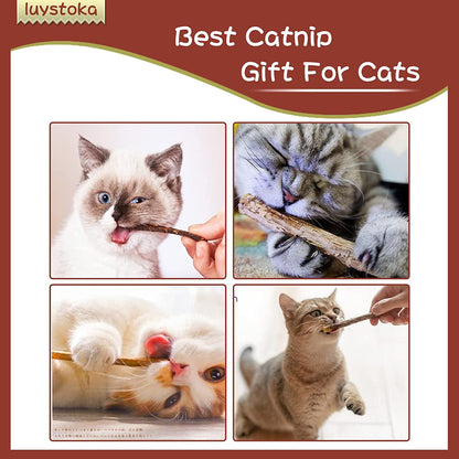 Silvervine Sticks for Cats, 30PCS Kitten Toys Catnip Toys Matatabi Silvervine Sticks Kitty Chew Toys Wooden Stick Kitten Teething Toys Molar Suitable for Cats of All Ages7