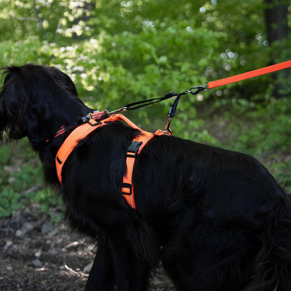 Herm. Sprenger Adjustable Coupling Strap – Reflective Nylon 2-Way Dog Leash Coupler with Nickel-Plated Swivel Clip – Safety Backup Strap for Prong & Flat Collars (Red)4