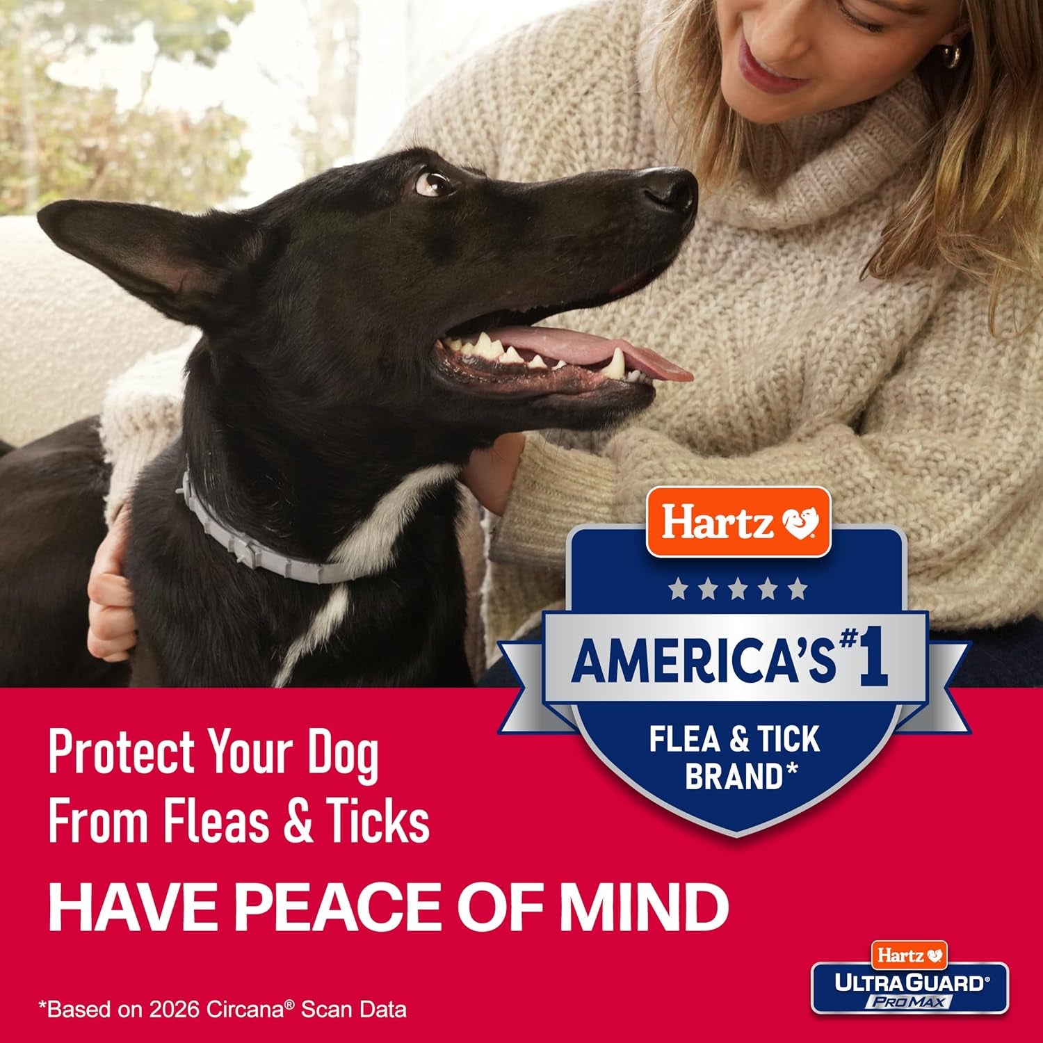hartz-ultraguard-promax-flea-tick-collar-for-dogs-i-12-months-protection-i-soft-comfortable-flea-tick-prevention-i-2-pack-gray