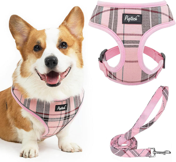 PUPTECK Soft Mesh Dog Harness Small Sized and Leash Set Pet Puppy Cat Comfort Padded Vest No Pull Harnesses, Beige, S94