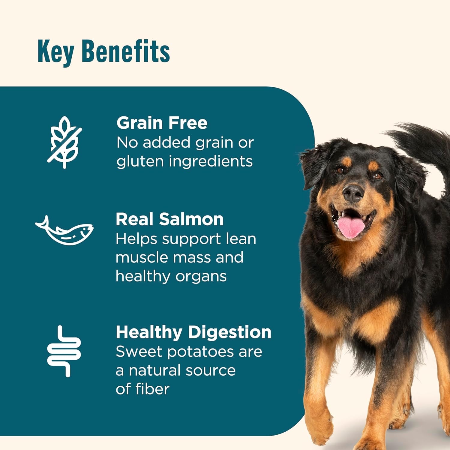 nutrish-grain-free-dry-dog-food-salmon-sweet-potato-recipe-23-lb-bag-rachael-ray