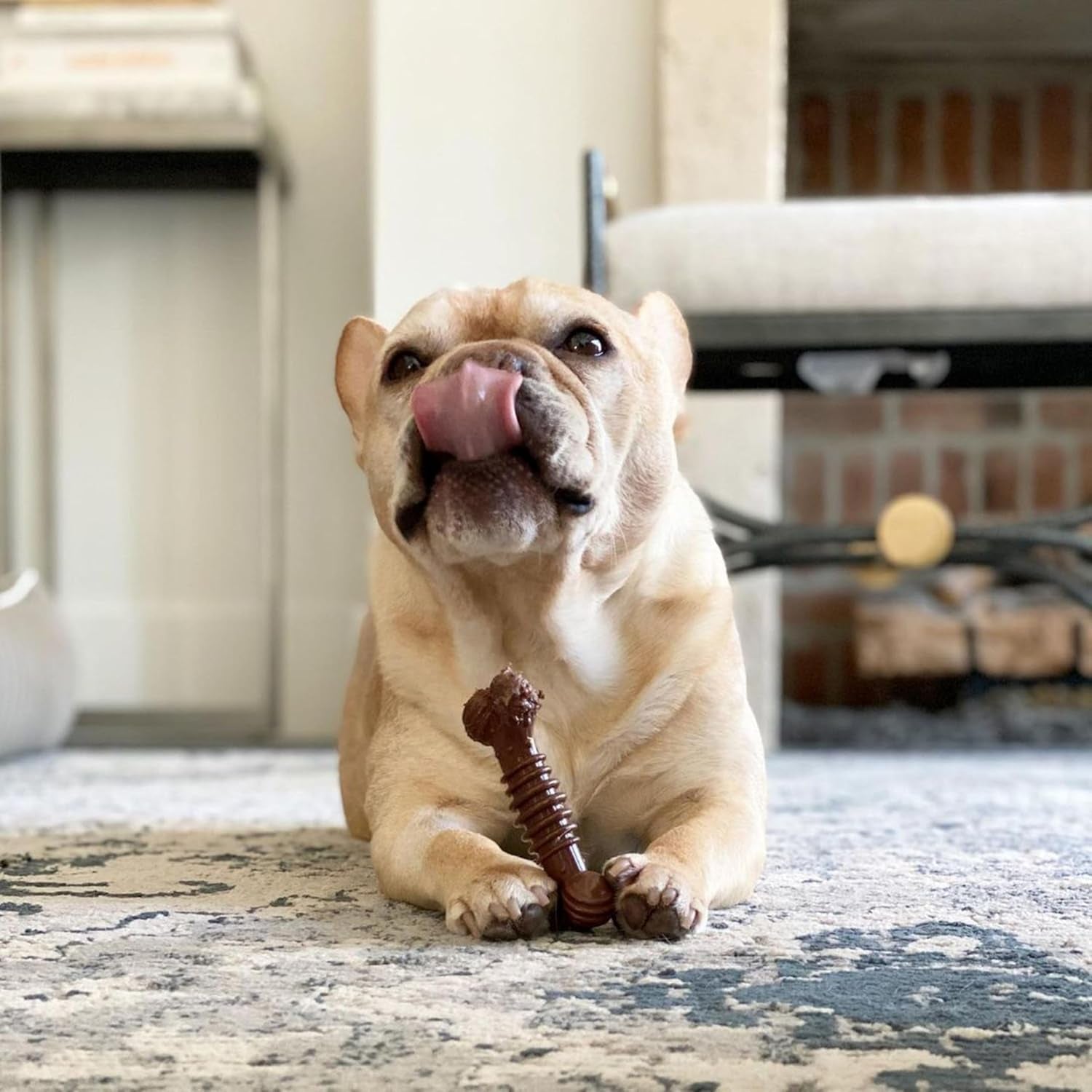nylabone-power-chew-dental-groove-bone-dog-chew-toy-flavor-medley-small-teeth-cleaning-textures-durable-dog-toys-for-aggressive-chewers-discourages-destructive-chewing-for-dogs-up-to-25-lbs